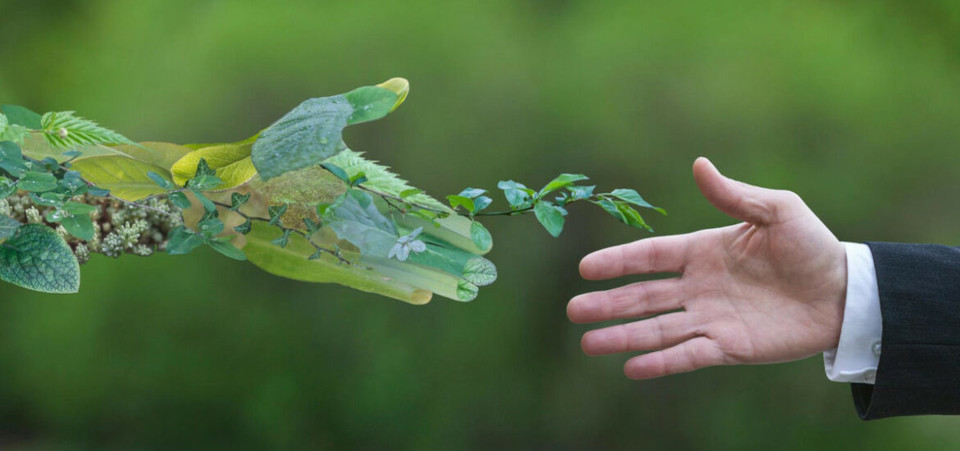 BONUS OCCHIALI 2023 IN SCADENZA IL 31 DICEMBRE: GREENVISION TI ASPETTA, NON PERDERE L’OCCASIONE